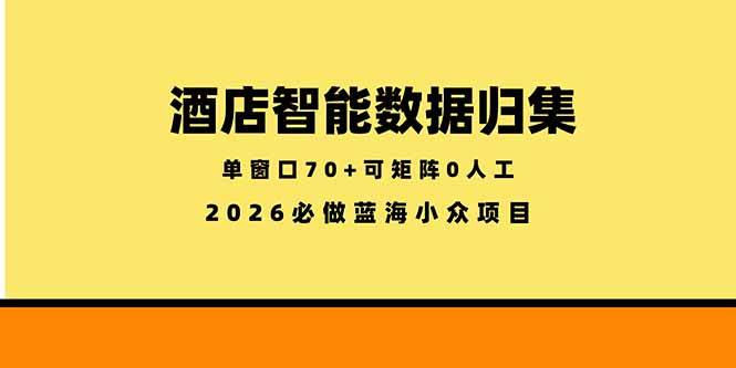 （18500期）酒店智能数据归集，小众蓝海已经稳定半年之久，单窗口70+零成本矩阵开干-佳佳云创网
