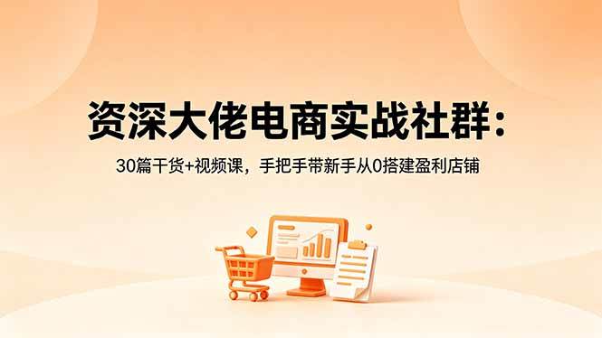 （18529期）资深大佬电商实战社群：30篇干货+视频课，手把手带新手从0搭建盈利店铺-佳佳云创网