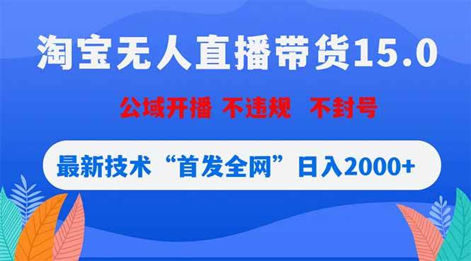 （18562期）淘宝无人直播带货15.0，不封号，不违规，公域玩法，首发全网日入2000+-佳佳云创网