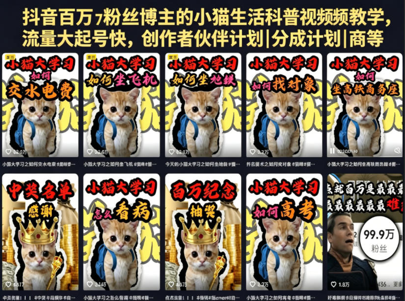 抖音百万粉丝博主的小猫生活科普视频教学，流量大起号快，创作者伙伴计划|分成计划|商单|收徒等-佳佳云创网
