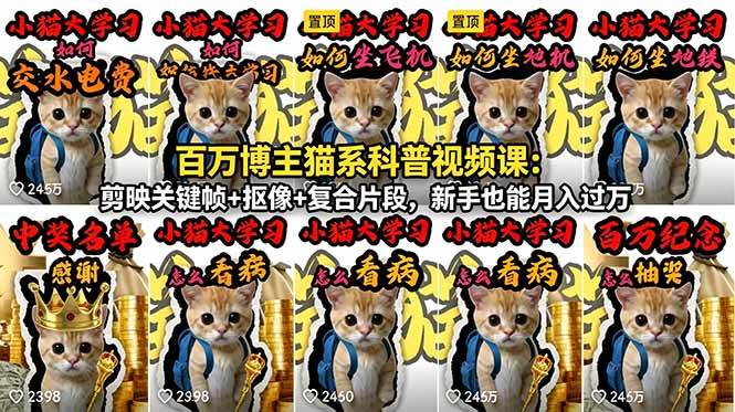 （18595期）百万博主猫系科普视频课：剪映关键帧+抠像+复合片段，新手也能月入过万-佳佳云创网