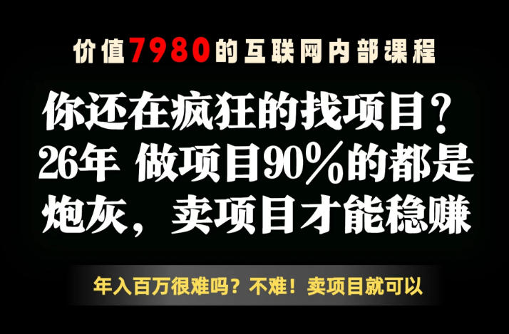 26年请不要疯狂的找项目了，卖项目远比你想象的暴利，你也可以月入10W+【揭秘】-佳佳云创网