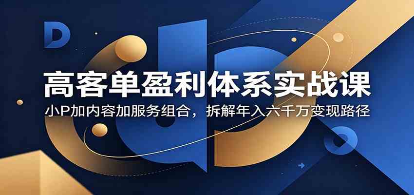 高客单盈利体系实战课：小P加内容加服务组合，拆解年入六千万变现路径-佳佳云创网