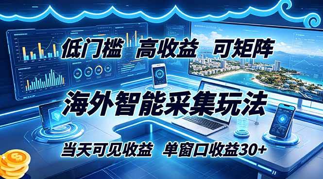 （18955期）海外智能采集玩法，低门槛高单价可矩阵，当天可见收益，单窗口30+-佳佳云创网