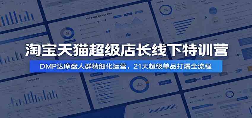 淘宝天猫超级店长线下特训营：DMP达摩盘人群精细化运营，21天超级单品打爆全流程-佳佳云创网