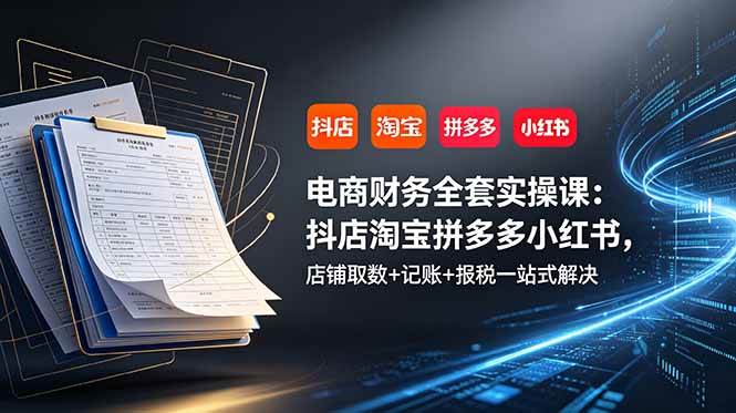 （19001期）电商财务全套实操课：抖店淘宝拼多多小红书，店铺取数+记账+报税一站式解决-佳佳云创网